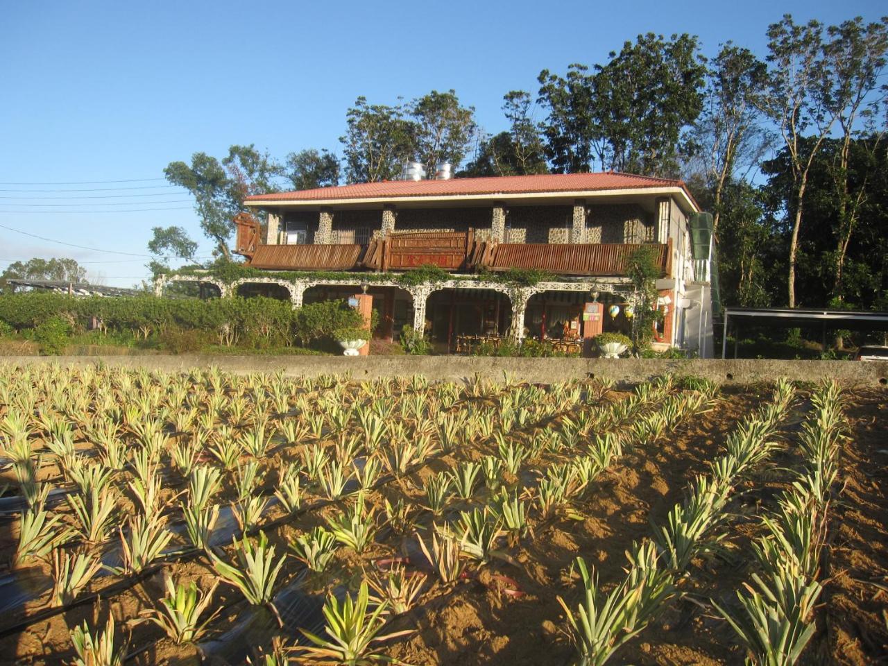 Kai Tai B&B Luye Luaran gambar